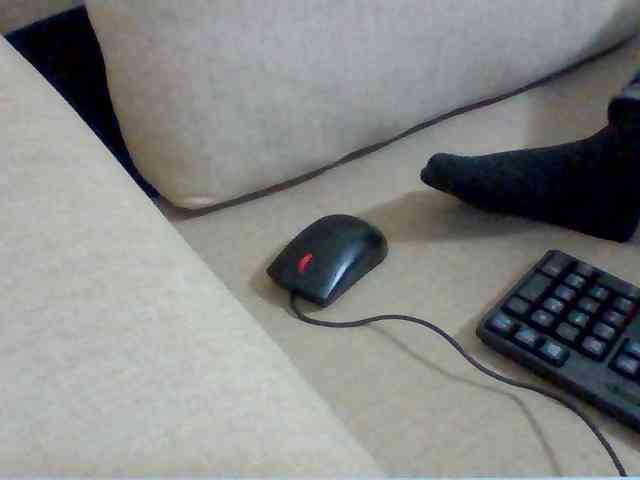 Juanitamami webcam