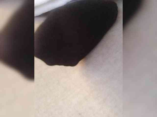 Juanitamami webcam