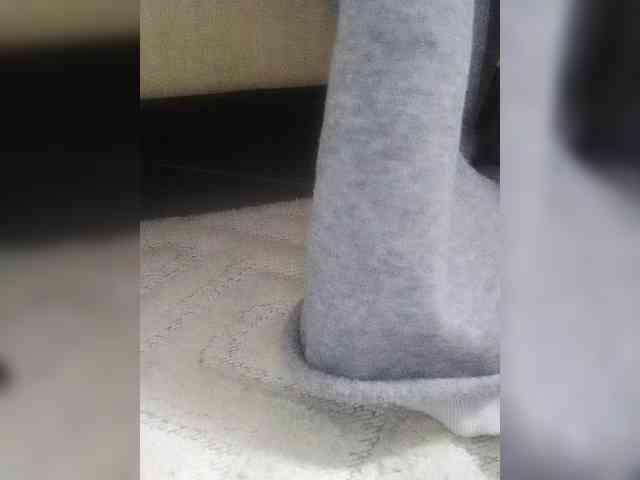 Juanitamami webcam