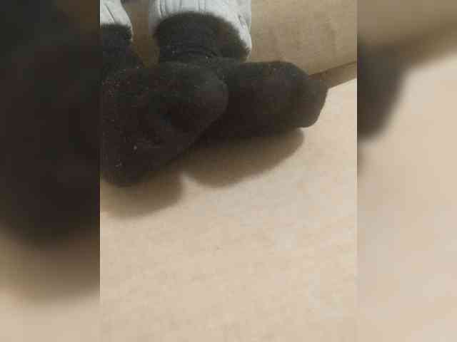 Juanitamami webcam