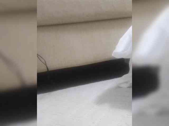 Juanitamami webcam