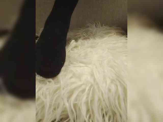 Juanitamami webcam
