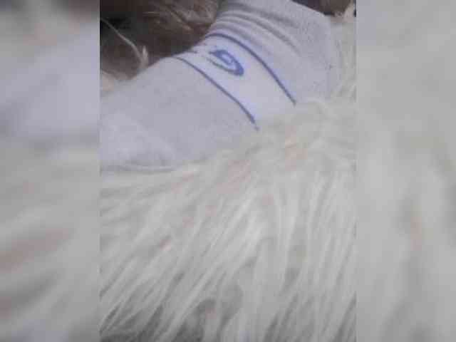Juanitamami webcam