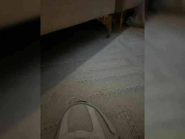 Juanitamami webcam