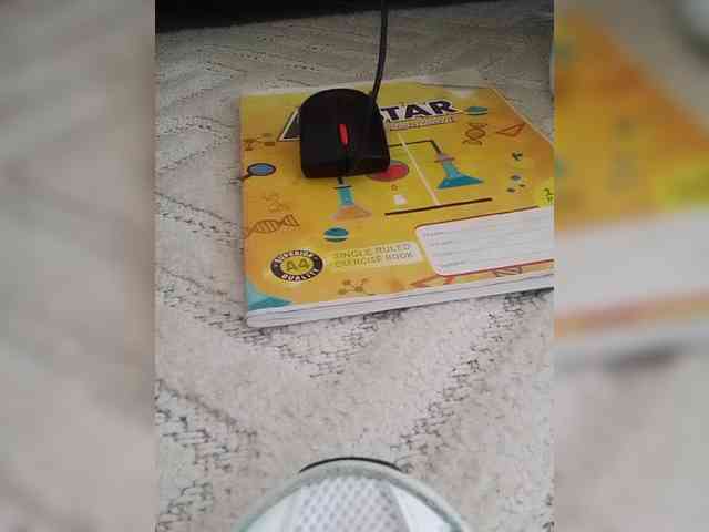 Juanitamami webcam