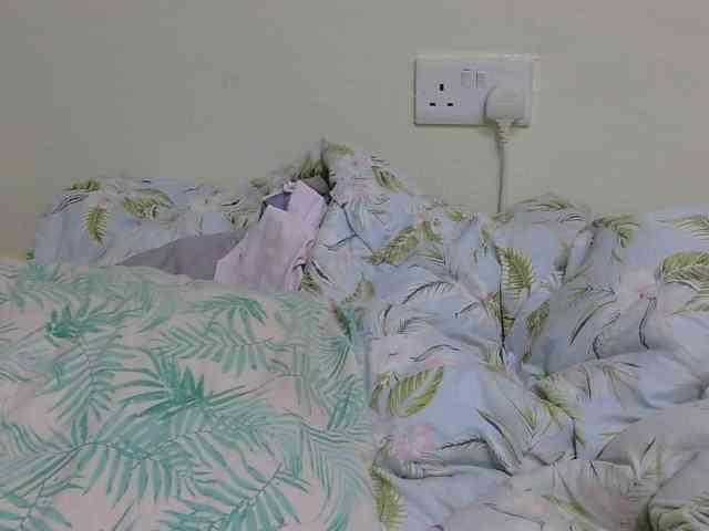 SweetTarrif webcam
