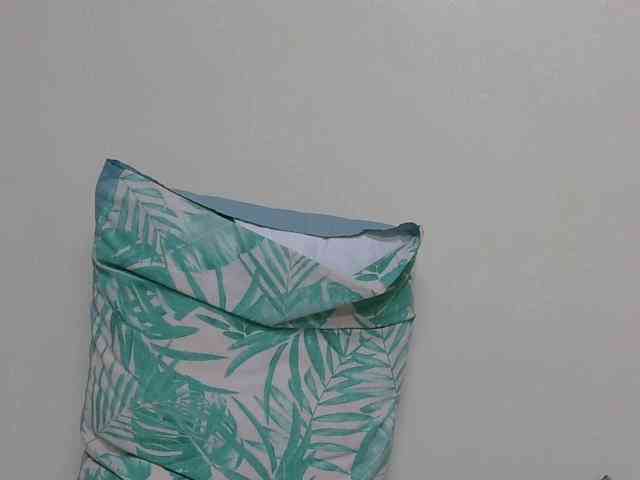 SweetTarrif webcam
