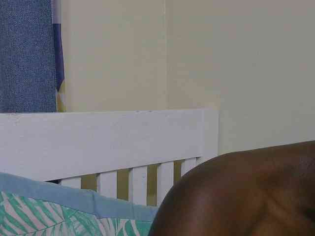SweetTarrif webcam