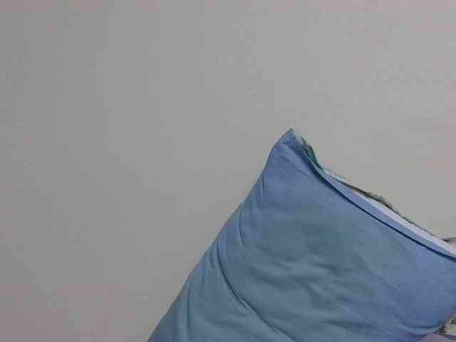 SweetTarrif webcam