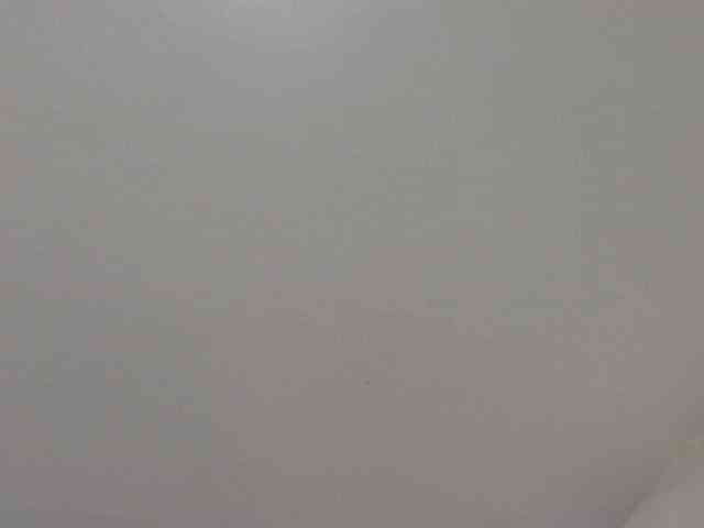SweetTarrif webcam