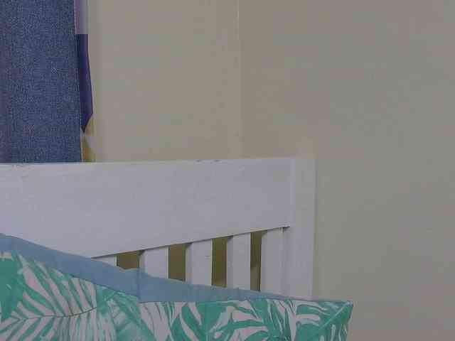 SweetTarrif webcam