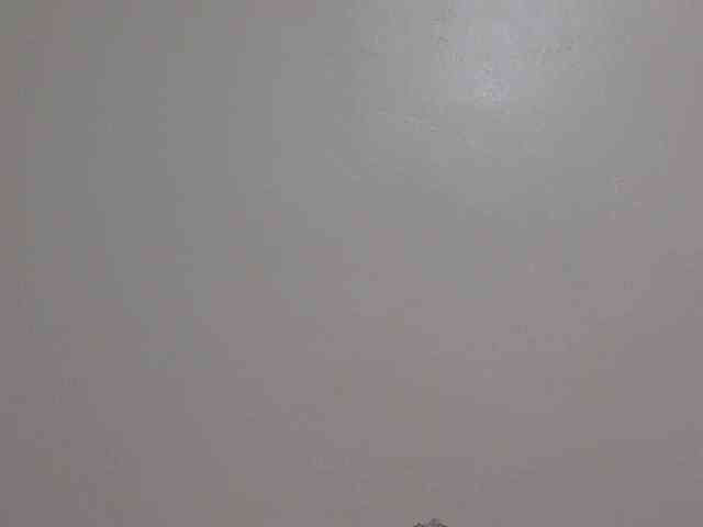 SweetTarrif