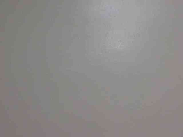 SweetTarrif webcam