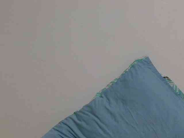 SweetTarrif webcam