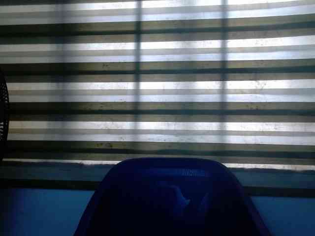 Juicynpink webcam