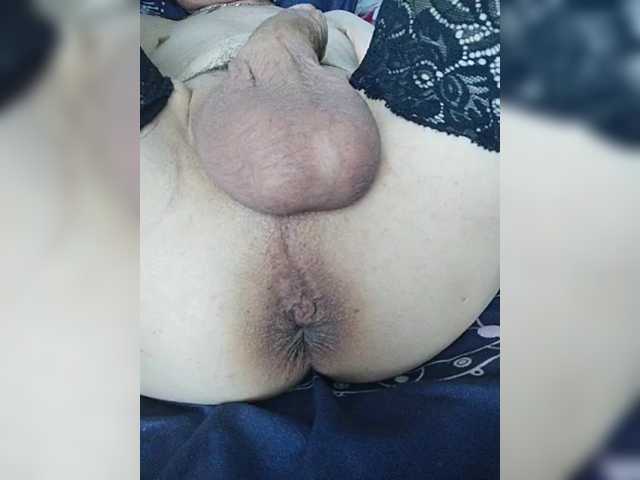 Schamales