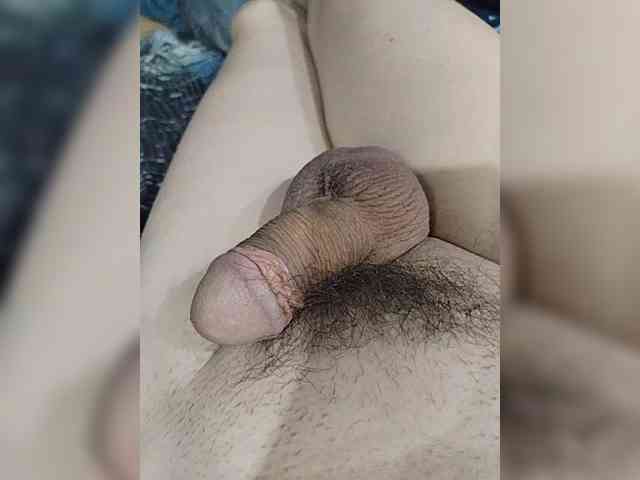 Schamales