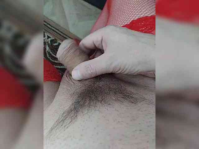Schamales