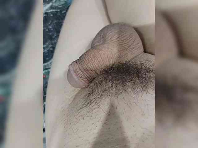 Schamales