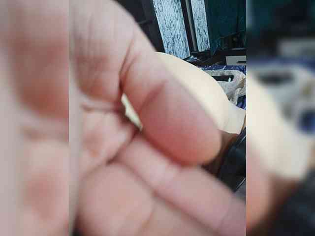 Schamales