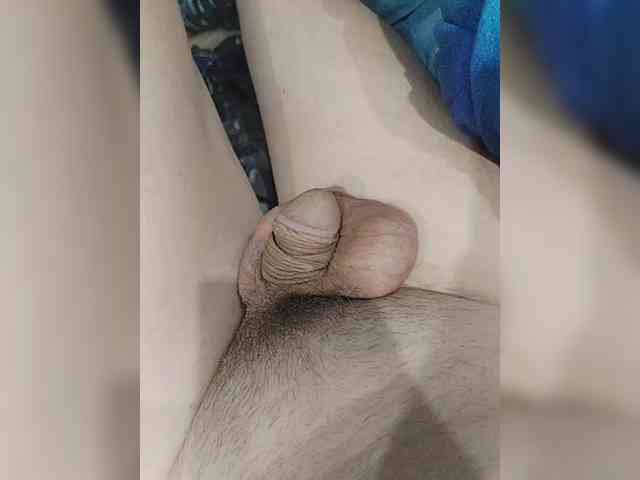 Schamales