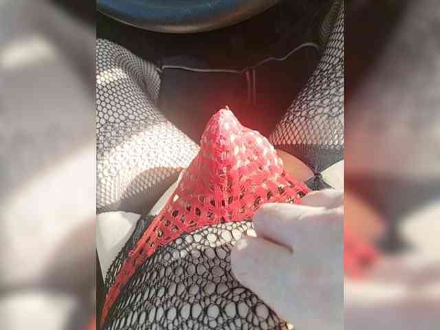Schamales