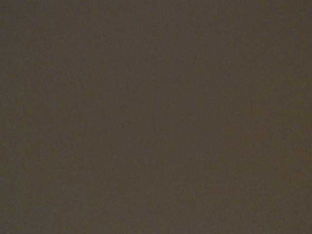 leyla9 live cam on BongaCams