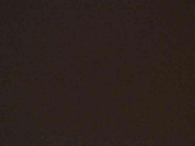 leyla9 webcam