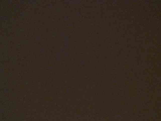leyla9 webcam