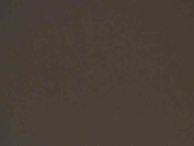 leyla9 webcam