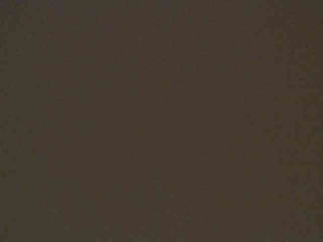 leyla9 webcam