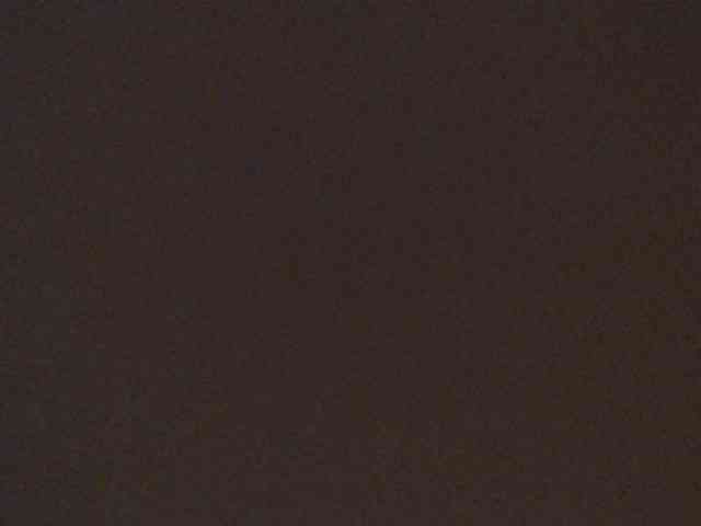 leyla9 webcam