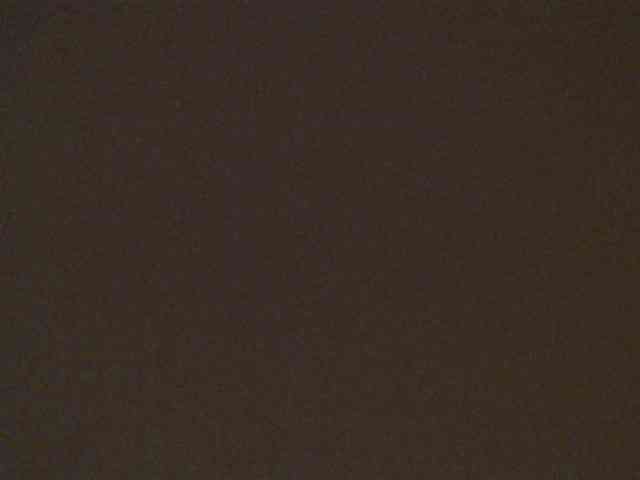 leyla9 webcam