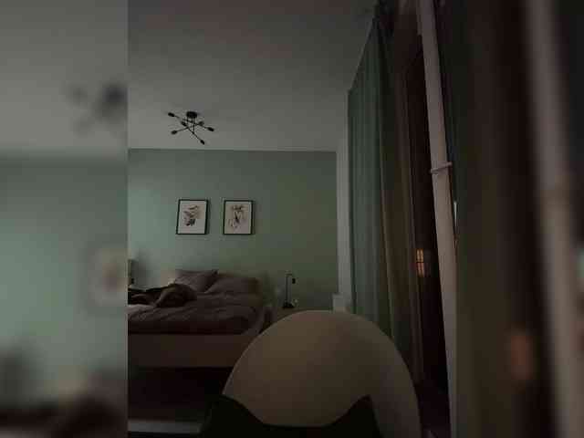 ari_ webcam