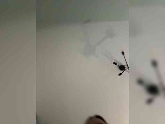 ari_ webcam