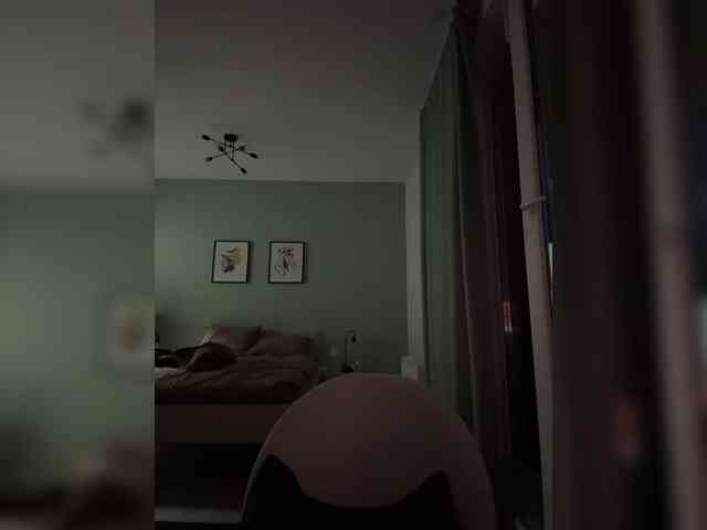 ari_ webcam