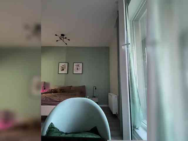 ari_ webcam