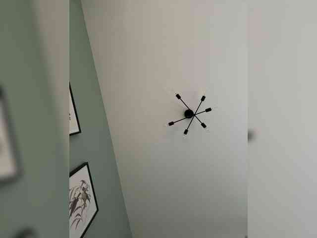 ari_ webcam