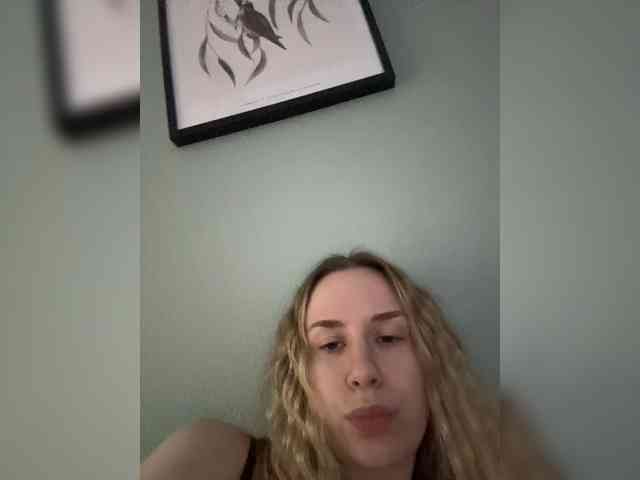 ari_ webcam