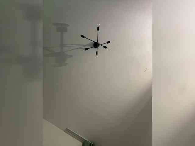 ari_ webcam