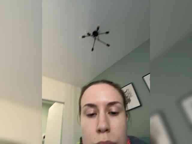 ari_ webcam