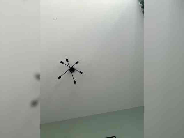 ari_ webcam