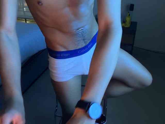 zamirpdll