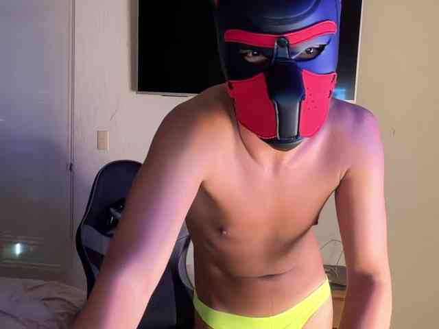 zamirpdll Sex Cam Show