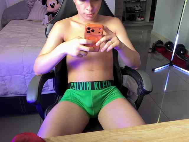 zamirpdll