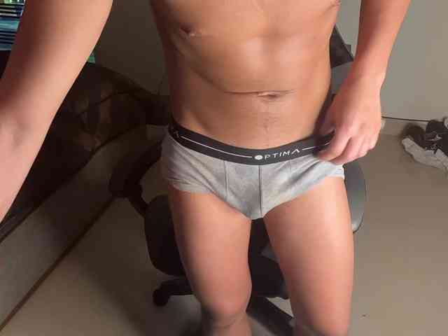 zamirpdll