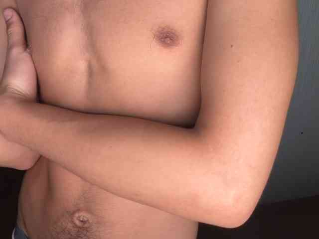 zamirpdll