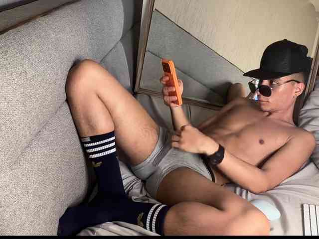 zamirpdll