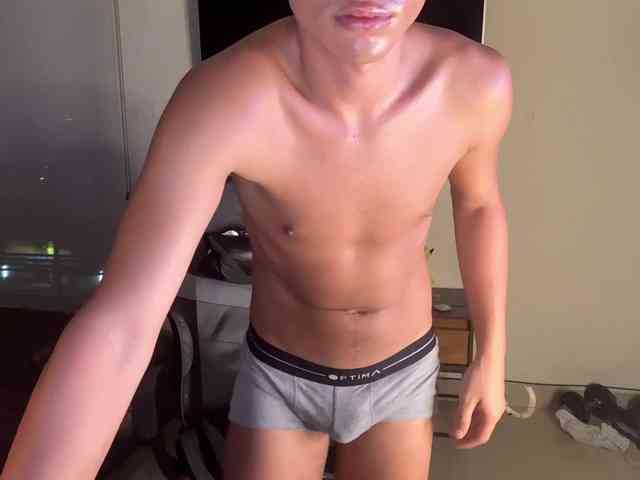 zamirpdll