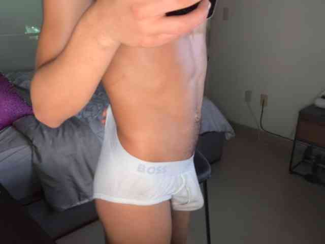 zamirpdll